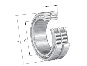 Immagine di Cuscinetto radiale a rulli cilindrici - SL185006-XL