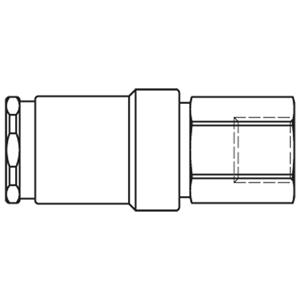 Immagine di Raccordo rapido con profilo ISO 6150 C, Serie 303 303KBIW10EVX